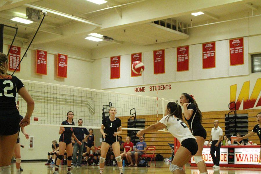 Volleyball faces an unsuccessful side-out against the Patriots