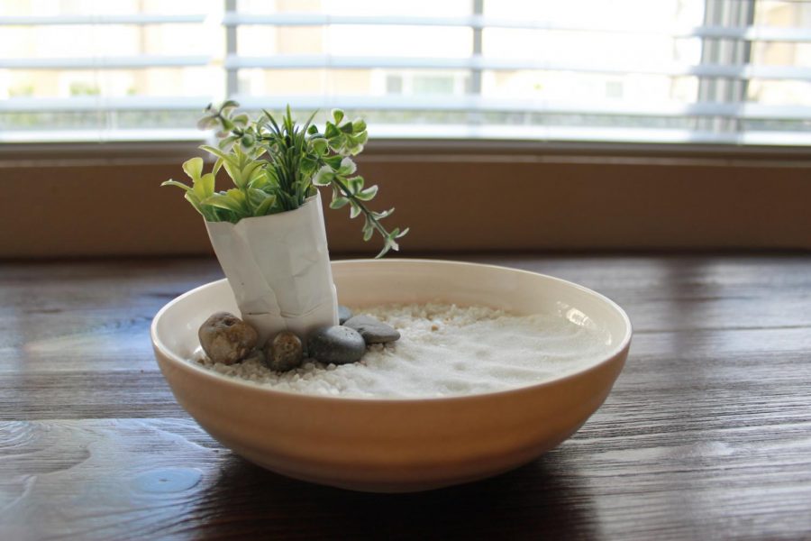 Creating your own DIY zen garden can be a stress relieving and aesthetically pleasing activity.