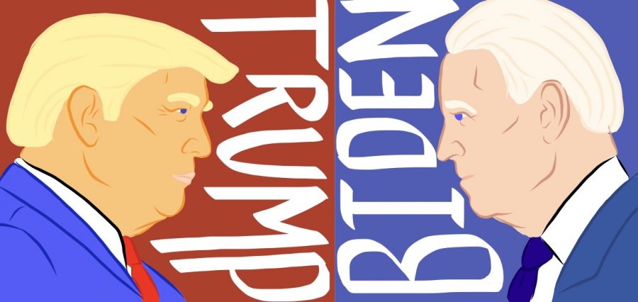 Head to Head: Trump and Biden in the Presidential Race