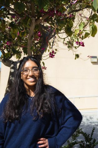 Senior Anika Parekh hopes to improve her art skills as well as increase her following on Instagram and TikTok.