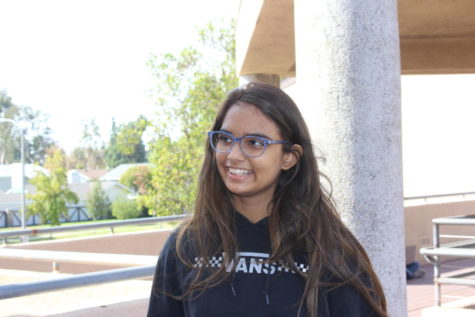 Sophomore Valerie Inamdar gives her opinions on collaborative work between students. 

