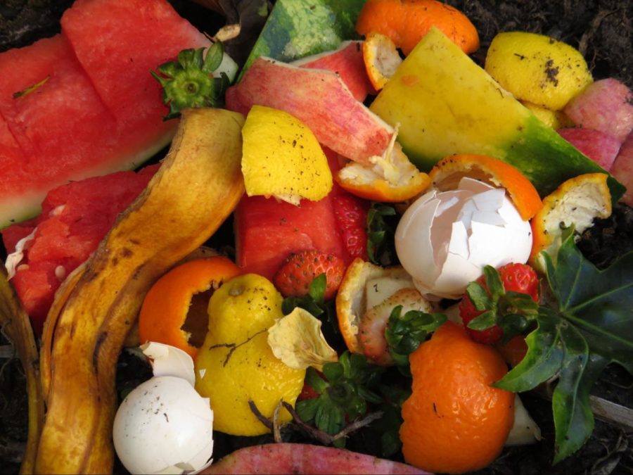 California’s new law, SB 1383, requires citizens to separate organic waste such as fruit scraps, peels and even eggshells into cans separate from other garbage. As an alternative, Californians may compost at home.


