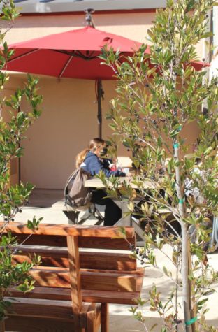 A group of students eat and talk to each other in the wellness courtyard.

