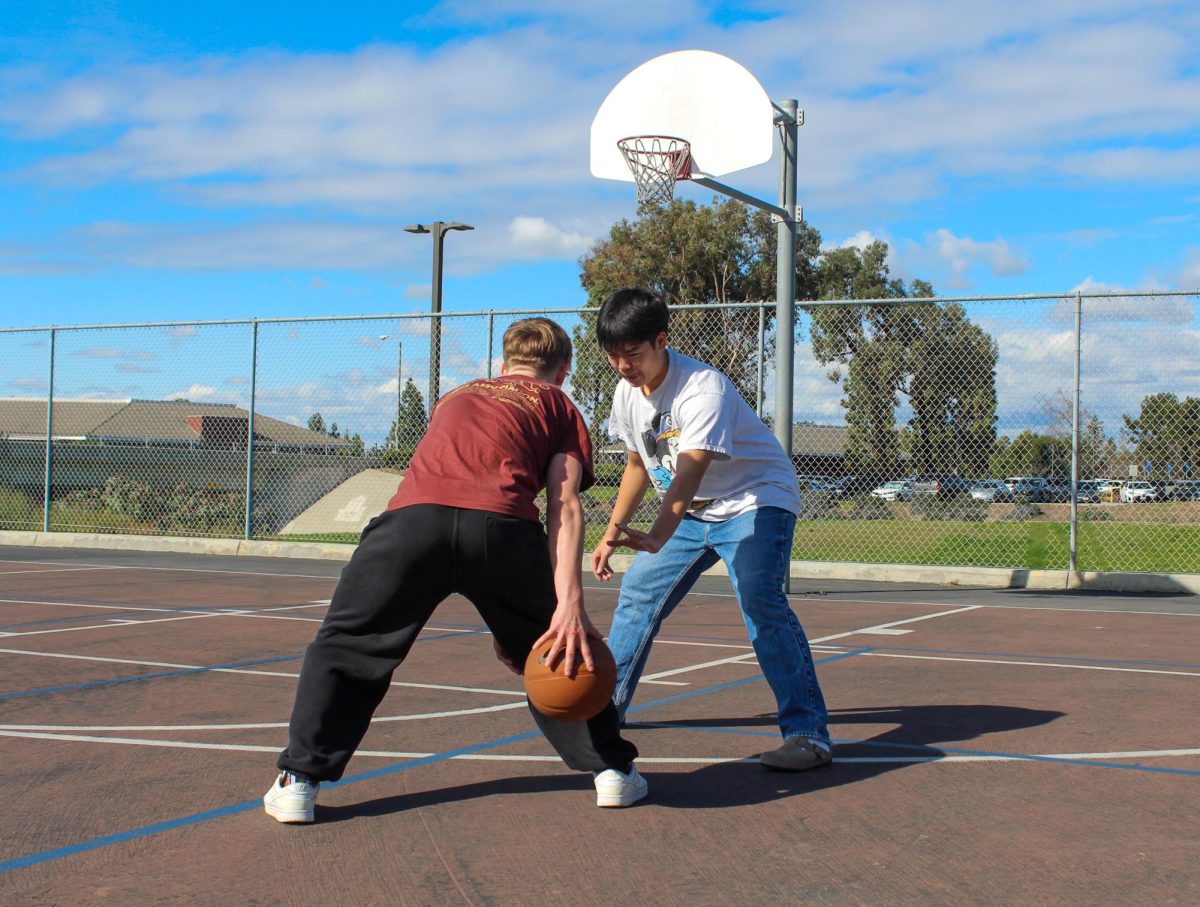 Senior Brian Le prepares to defend his opponent senior JC Schindler while playing basketball on Woodbridge Highs outdoor courts.