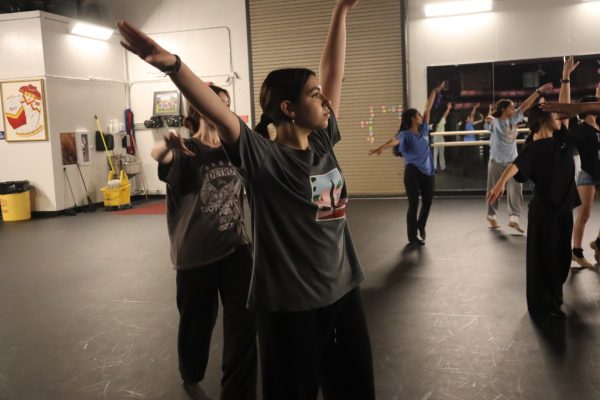 Sophomore Benita Badrizadeh is practicing the dance choreography in preparation for competition season. 