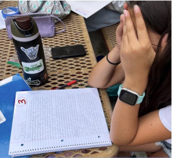 Sadeghian's reaction to getting a three on an essay shows how even though she wrote out a lot it still wasn’t exceeding the standard. 