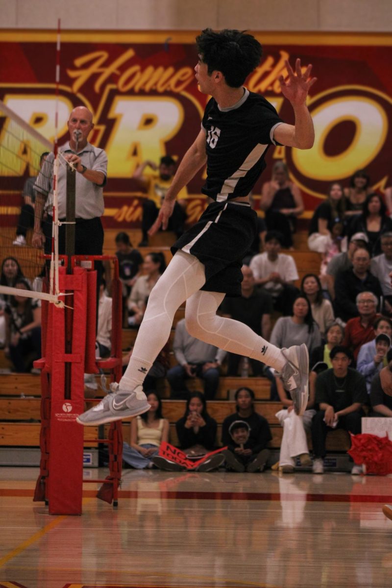 Senior Logan Matsuda jumps to hit the volleyball over the net.