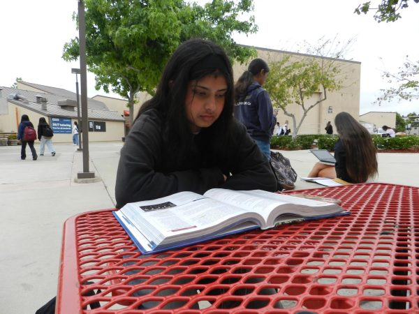 Studying for AP Exams