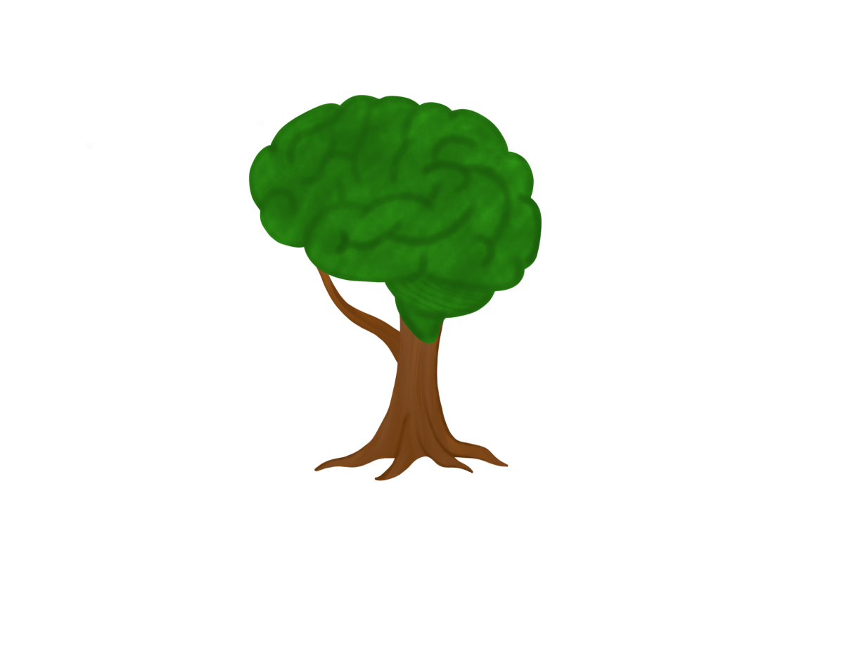 The Science of Growth: How stress, challenge, and rest contribute to personal development